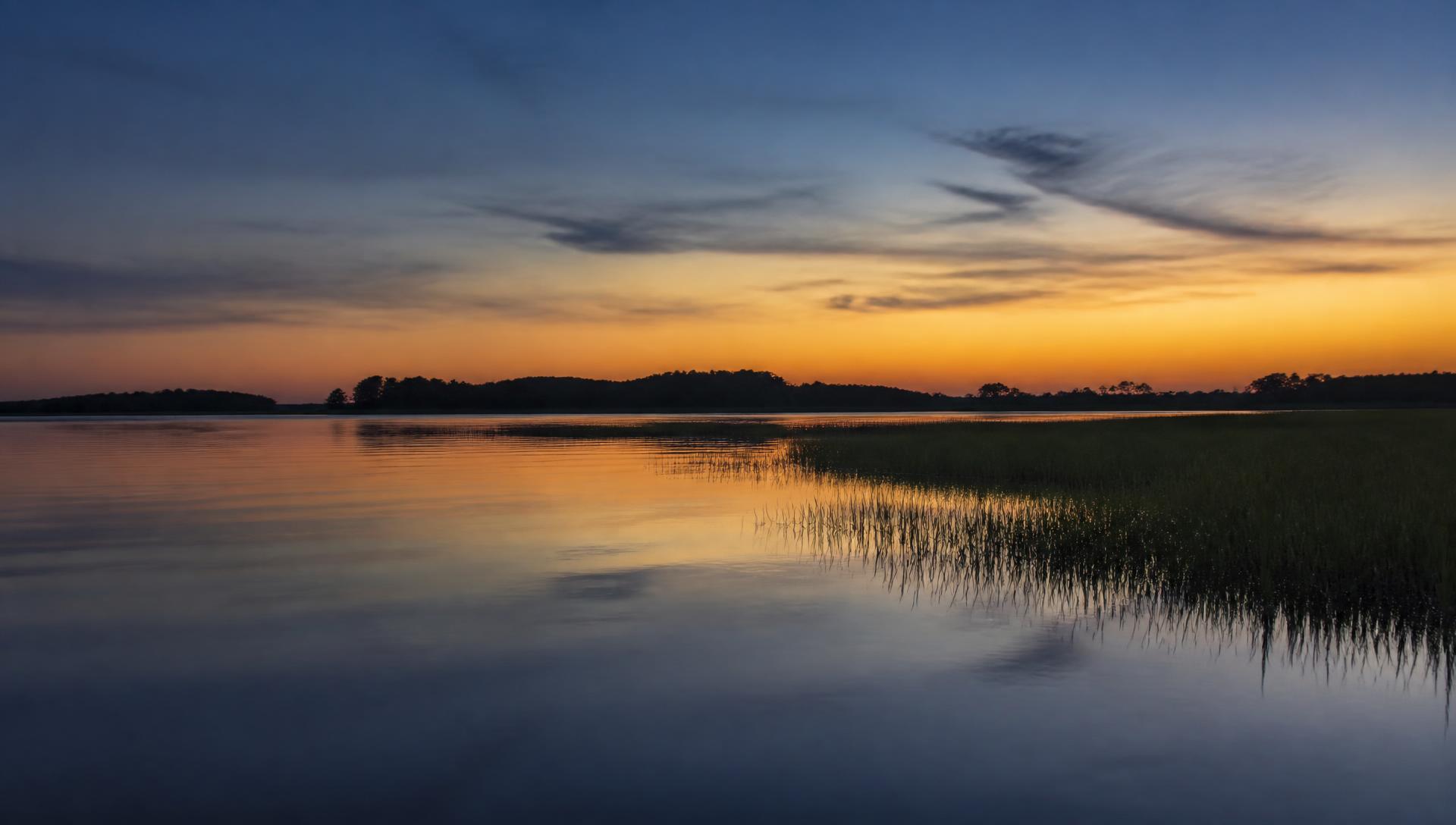 A quiet tidal shoreline in the Virginia Tidewater at dusk